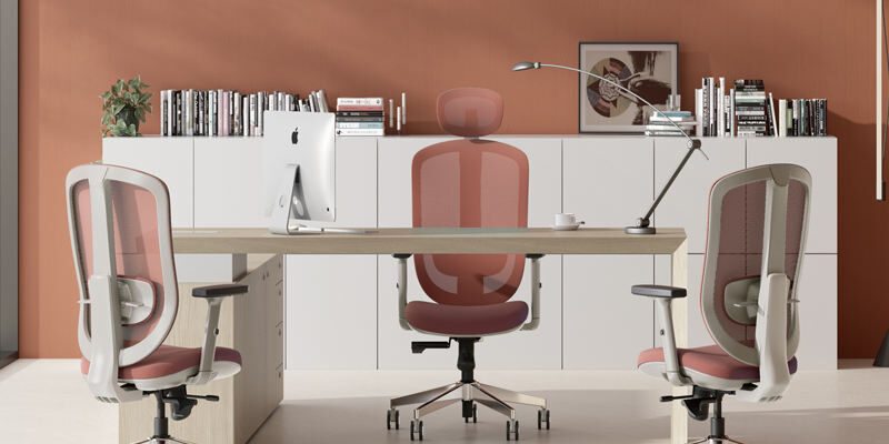 Custom Ergonomic Mid-Back Executive Conference Chairs