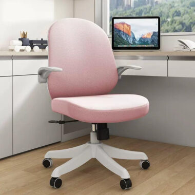 Ergonomic Modern Mesh Task Office Chairs Supplier